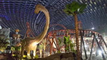 Heart-warming 4 Nights 5 Days Dubai Trip Package by The Travel Cube