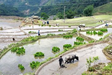 Experience 8 Days Mai Chau - Pa Co Hang Kia Cun Pheo Mai Hich Holiday Package