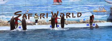 Pattaya Tour Package for 10 Days 9 Nights