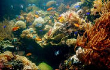 Pleasurable 5 Days 4 Nights Singapore and Singapore Airport Holiday Package