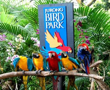 Magical 5 Days Singapore Holiday Package