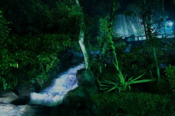 Experience Vythiri Tour Package for 3 Days 2 Nights