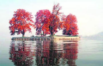 Amazing Srinagar Tour Package for 3 Days 2 Nights