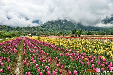 Memorable 5 Days Srinagar, Gulmarg with Pahalgam Tour Package