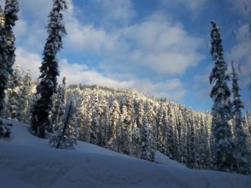 Memorable 5 Days Srinagar, Gulmarg with Pahalgam Tour Package