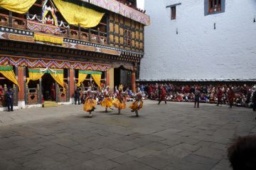 8 Days Paro Airport to Punakhawangdue Paro Trip Package