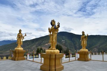 8 Days Paro Airport to Punakhawangdue Paro Trip Package