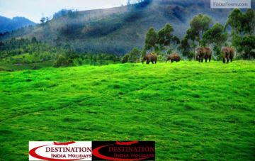 Magical 8 Days Chennai to Tiruvannamalai Trip Package