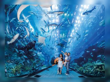 Magical Dubai Desert Safari With Bbq Dinner Tanoura Show Tour Package for 5 Days 4 Nights from Departure Dubai