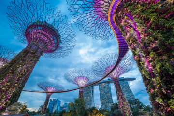 Experience 8 Days Delhi to Sinagapore Vacation Package