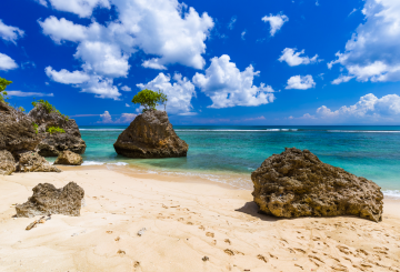 Experience 8 Days Delhi to Sinagapore Vacation Package