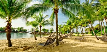 Beautiful 6 Days Half Day City Tour Noon Till Sunset At Sentosa Holiday Package