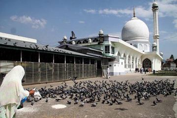 Ecstatic 7 Days Srinagar, Sonmarg, Doodhpathri and Pahalgam Vacation Package