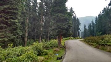 Ecstatic 7 Days Srinagar, Sonmarg, Doodhpathri and Pahalgam Vacation Package