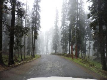 Ecstatic 7 Days Srinagar, Sonmarg, Doodhpathri and Pahalgam Vacation Package