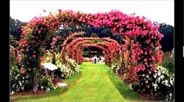 Delhi-shimla Tour Package for 9 Days 8 Nights from Chandigarh-Delhi