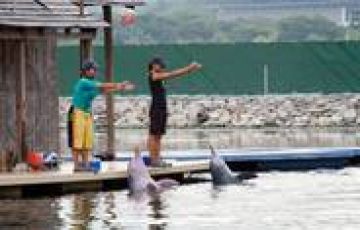 Amazing 4 Days Sinapore, Singapore with Singpaore Trip Package