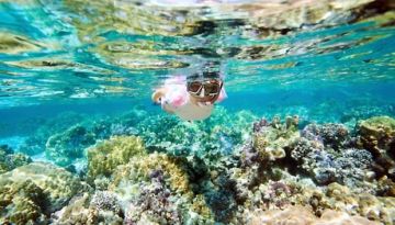 Ecstatic Sightseeing In Kaula Lumpur Tour Package for 5 Days 4 Nights