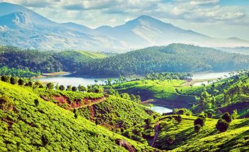 Beautiful 4 Days 3 Nights Munnar and Cochin Vacation Package