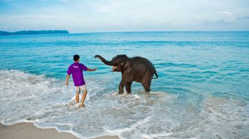 Experience 6 Days 5 Nights Port Blair and Havelock Island Vacation Package