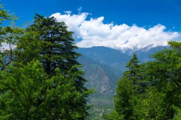 Magical 7 Days Delhi to Manali Family Holiday Package