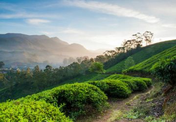 5 Days Cochin to Thekkady Vacation Package