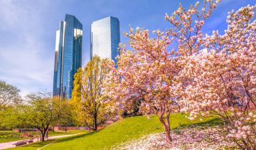 Magical Frankfurt Tour Package for 8 Days 7 Nights from Berlin
