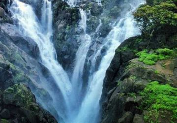 4 Days 3 Nights Goa Holiday Package by Moon Tour and Travel