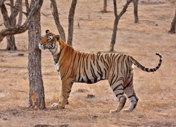 Memorable 5 Days 4 Nights Nainital Holiday Package