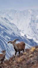 6 Days Kathmandu Arrival - Overnight In Kathmandu Tour Package