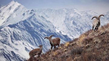 6 Days Kathmandu Arrival - Overnight In Kathmandu Tour Package