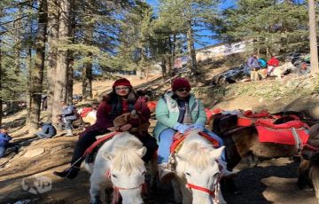 Heart-warming Chandigarh Tour Package for 6 Days