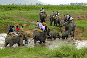 Ecstatic 8 Days 7 Nights Jowai Holiday Package