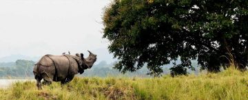 Ecstatic 8 Days 7 Nights Jowai Holiday Package