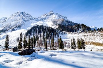 Magical 6 Days 5 Nights Srinagar, Sonmarg, Gulmarg with Pahalgam Vacation Package