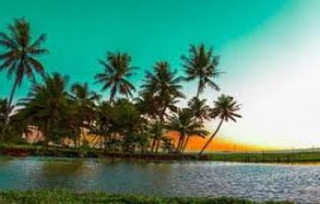 Family Getaway Munnar Tour Package from Trivandrum Drop