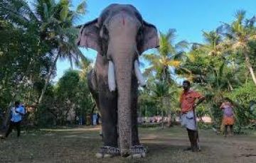 Family Getaway Munnar Tour Package from Trivandrum Drop