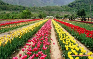 Experience 4 Days Srinagar to Pahalgam Vacation Package