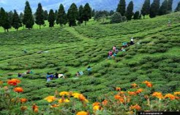 Heart-warming 9 Days 8 Nights Gangtok, Pelling, Ravangla with Darjeeling Vacation Package