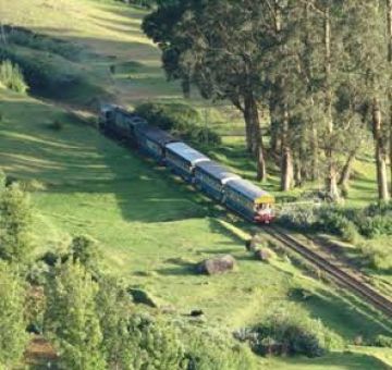 Amazing 5 Days Sightseeing In Conoor Holiday Package