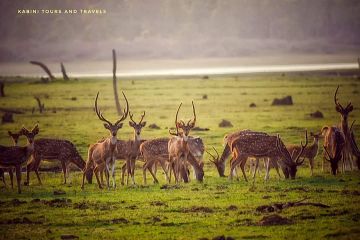 Best 3 Days Ranthambhore Fort Lake Tour Package
