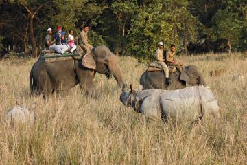 Beautiful 3 Days Guwahati- Pobitora Vacation Package