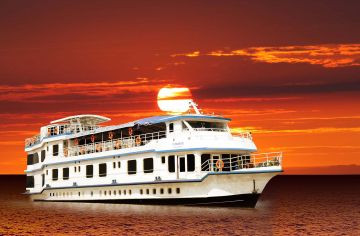 4 Days Departure to Excursion To Pobitora Wildlife Sanctuary Trip Package