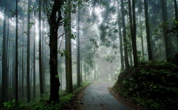 Family Getaway Darjeeling Tour Package for 5 Days 4 Nights from Bagdogra Airport New Jalpaiguri Railways Station