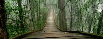 Family Getaway Darjeeling Tour Package for 5 Days 4 Nights from Bagdogra Airport New Jalpaiguri Railways Station