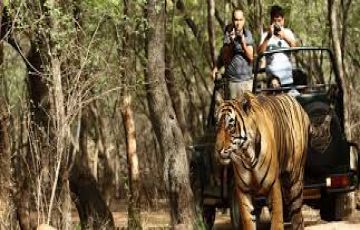 Kanha National Park Tour Package for 4 Days 3 Nights from Jabalpur