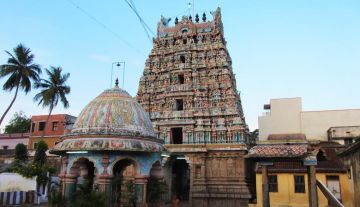 Beautiful 7 Days Negombo to Colombo Holiday Package