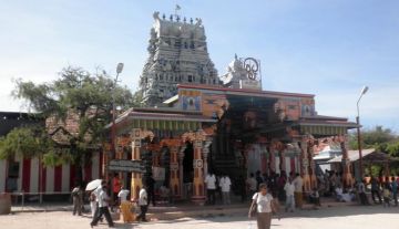 Beautiful 7 Days Negombo to Colombo Holiday Package