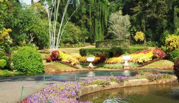 Beautiful 7 Days Negombo to Colombo Holiday Package