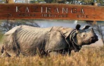 Ecstatic 7 Days KAZIRANGA - GUWAHATI - DEPARTURE to Kaziranga Trip Package